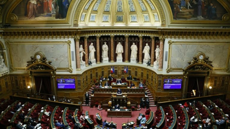 Le Sénat lors d'une session le 17 décembre 2020