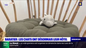 Hautes-Alpes: les chats ont désormais leur hôtel à Baratier