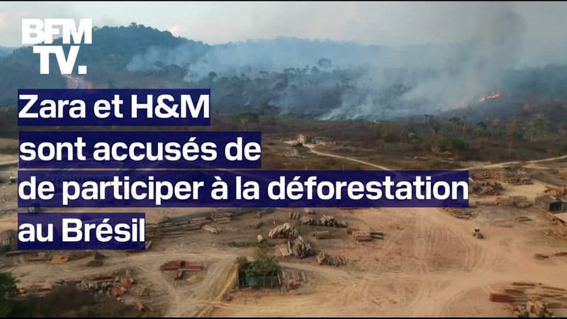 Zara et H&M sont accusés par une ONG de participer à la déforestation au Brésil