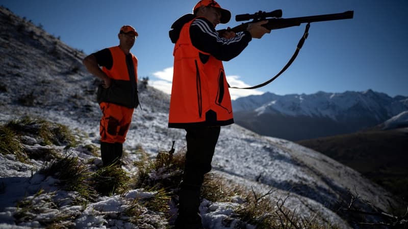 Maintien de la chasse le dimanche: les ONG dénoncent 