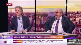 L'histoire de Sébastien Krebs : L'amour que nous portons nos animaux de compagnie - 20/10