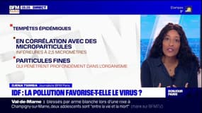 Île-de-France: le nouvel épisode de pollution aux particules fines va t-il favoriser le virus? 