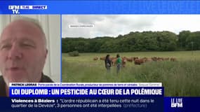 Pétition contre la loi Duplomb: "L'Anses a voulu faire du zèle en supprimant un grand nombre de produits autorisés en Europe", estime Patrick Legras (Coordination rurale)