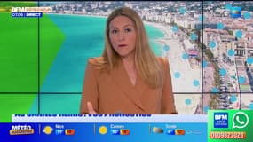 AS Cannes / Stade de Reims : vos pronostics et celui d'Arthur Descudet
