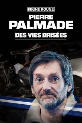 Pierre Palmade, des vies brisées 