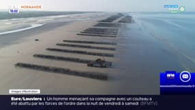 Ouistreham: la pêche à pied des moules interdite
