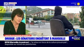 Trafic de stupéfiants à Marseille: le programme de la commission d'enquête du Sénat, présent pendant deux jours