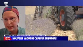 Story 1 : Nouvelle vague de chaleur en Europe - 01/08