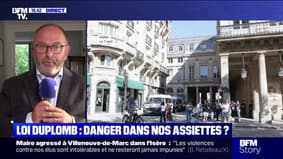 LOI DUPLOMB: "Nous serons dans une situation de concurrence déloyale"estime Laurent Dupumb, sénateur de Haute-Loire (LR)