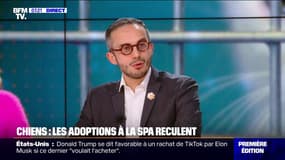 Abandons d'animaux en hausse: "On est extrêmement liés à la mode", déplore le directeur général de la SPA