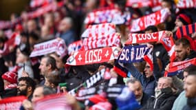 Les supporters du Losc au stade Pierre Mauroy, le 12 novembre 2023