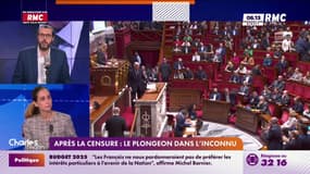 Censure/49.3 : "Constitutionnellement, financièrement tout est nouveau" pour Anne-Charlène Bezzina 