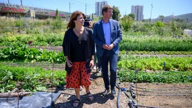 Michèle Rubirola (à gauche), candidate aux municipales du "Printemps Marseillais", une coalition de gauche pour Marseille aux cotés de Yannick Jadot, député européen écologique EELV, lors d'une visite d'une ferme urbaine, le 15 juin 2020