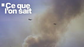 Un incendie dans l'Aude a détruit 400 hectares, le dimanche 29 juin 2025