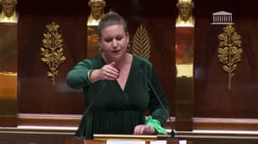 Inscription de l'IVG dans la Constitution: "Nos ovaires ne sont pas des armes de guerre" affirme Mathilde Panot