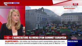 Importations de volaille: "Le gouvernement a noyé nos agriculteurs sous la concurrence déloyale de l'Ukraine" assure Marion Maréchal