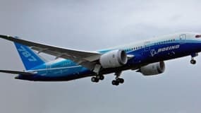 Les Being 787 Dreamliner ont été interdits de vol dans le monde entier en janvier.