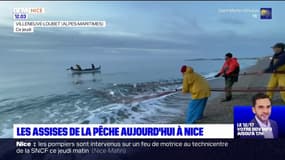 Nice: les Assises de la pêche se sont ouvertes ce jeudi