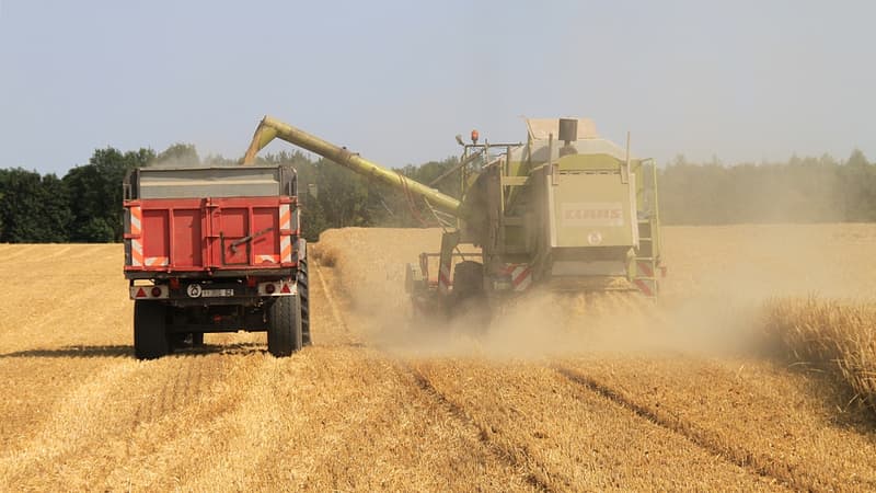 La France compte plus de 70.000 céréaliers qui exportent pour 5 milliards d'euros par an.
