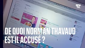 De quoi Norman Thavaud est-il accusé ?