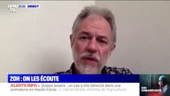 20h, on les écoute: selon le professeur Frédéric Lapostolle, "dans les six prochains mois, il faudra gérer l'épidémie sans le vaccin"