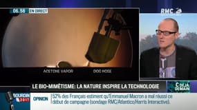 La chronique d'Anthony Morel : Le biomimétisme: la nature inspire la technologie - 26/04