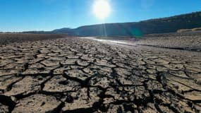 Cette photo prise le 3 août 2022 montre le lac asséché de l'Entonnoir, connu sous le nom de lac du Bouverans, à Bouverans, dans l'est de la France.