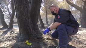 Prélèvements, photos... Le travail des enquêteurs débute pour déterminer l'origine du feu à Narbonne, débuté le 7 juillet 2025.
