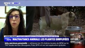 Lorène Jacquet (fondation Brigitte Bardot): "C'est une vraie prise en compte de la souffrance animale par le ministère de l'Intérieur"