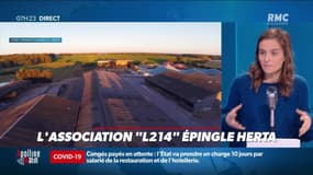 Dupin Quotidien : L'Association "L214" épingle Herta - 03/12