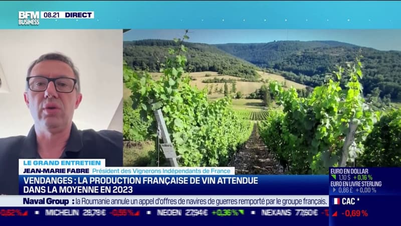 Vendanges: la production française de vin attendue dans la moyenne en 2023