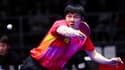 Le Chinois Fan Zhendong, actuel meilleur joueur du monde de tennis de table