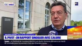 "Une joie de vivre, une simplicité": le maire de Caluire-et-Cuire rend hommage à Bernard Pivot