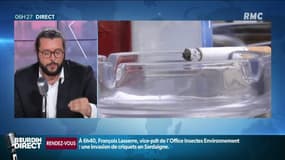 Les jeunes sont moins accros au tabac que leurs aînés 