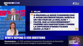 Les moustiques peuvent-ils transmettre le coronavirus ? BFMTV répond à vos questions