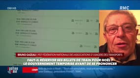 Vacances de Noël: "J'encourage les Français à réserver leur train", affirme Bruno Gazeau