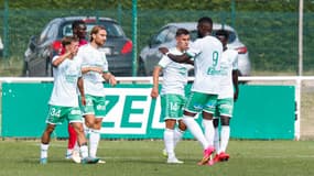 AS Saint-Etienne