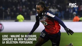 Losc : malgré sa blessure, Sanches va bien rejoindre la sélection portugaise