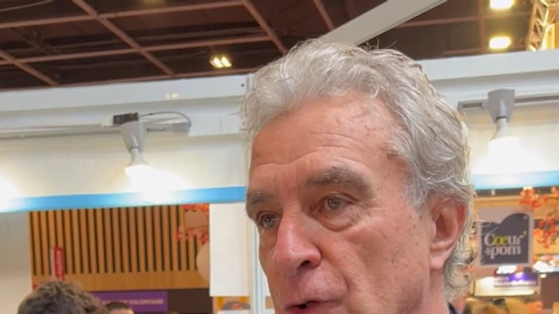 "Un club qui a sa place en Ligue 1": Rocheteau confiant pour la remontée de l'AS Saint-Étienne dans l'élite