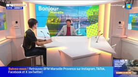 Fos-sur-Mer: place forte du badminton en France