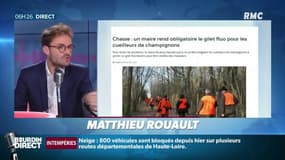 Accidents de chasse: un gilet jaune obligatoire pour ramasser les champignons