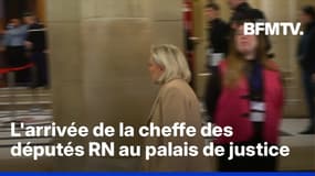 Procès en appel du RN: l'arrivée de Marine Le Pen au palais de justice de Paris