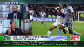 Pourquoi Subasic est-il fébrile actuellement ?