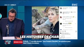 "Avec mon chien et ma chienne"  Mauro Icardi provoque un tollé sur Insta après avoir publié cette légende en dessous d'une photo de son chien et ... sa femme