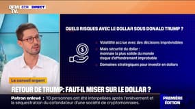 Retour de Donald Trump à la Maison Blanche: faut-il investir dans le dollar?
