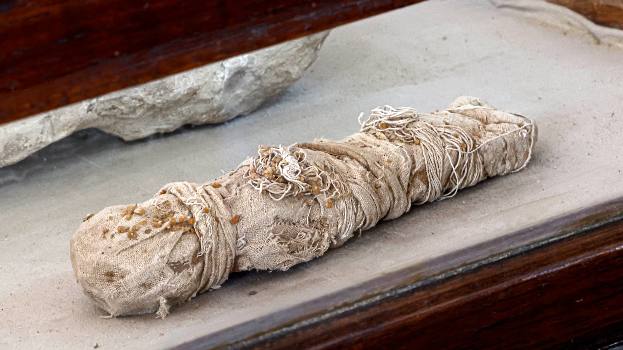 La momie d'un petit animal récemment découverte sur le site de Saqqara, près du Caire. 