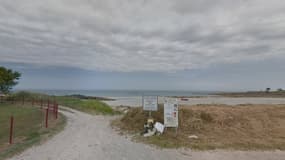 Un dauphin de 2.10 mètres de long a été retrouvé samedi 15 février sur la plage de La Mare à Montfarville (Manche).