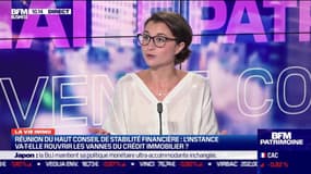 Marie Coeurderoy: Le Haut conseil de stabilité financière va-t-il rouvrir les vannes du crédit immobilier ? - 17/09