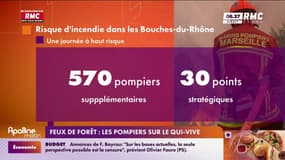 Les pompiers sont sur le qui-vive pour éviter tout départ de feux dans les Bouches-du-Rhône 