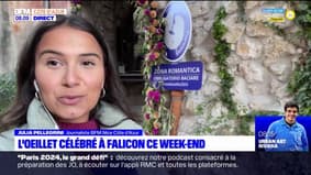 Alpes-Maritimes: l'œillet célébré à Falicon ce week-end